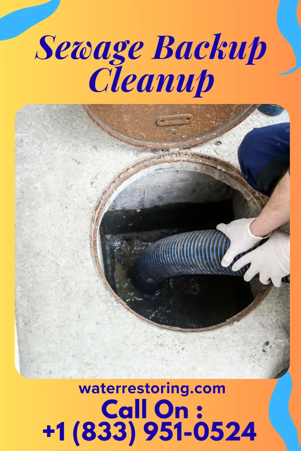 Sewage Backup Cleanup in Blue Rapids, KS